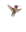 Velira hummingbird mascot